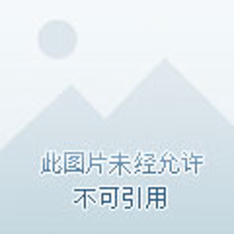 百货行业中的斯塔百货：零售业的新星